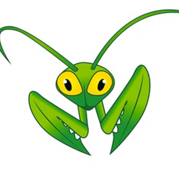 Mantis