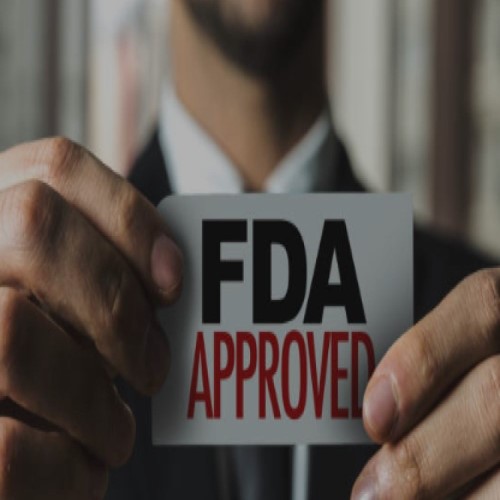 Preparing for FDA Audits